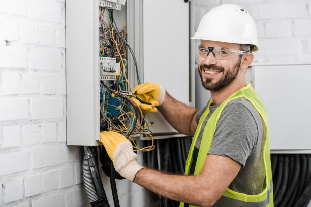Best Electric Panel Repair  in Harlem Heights, FL
